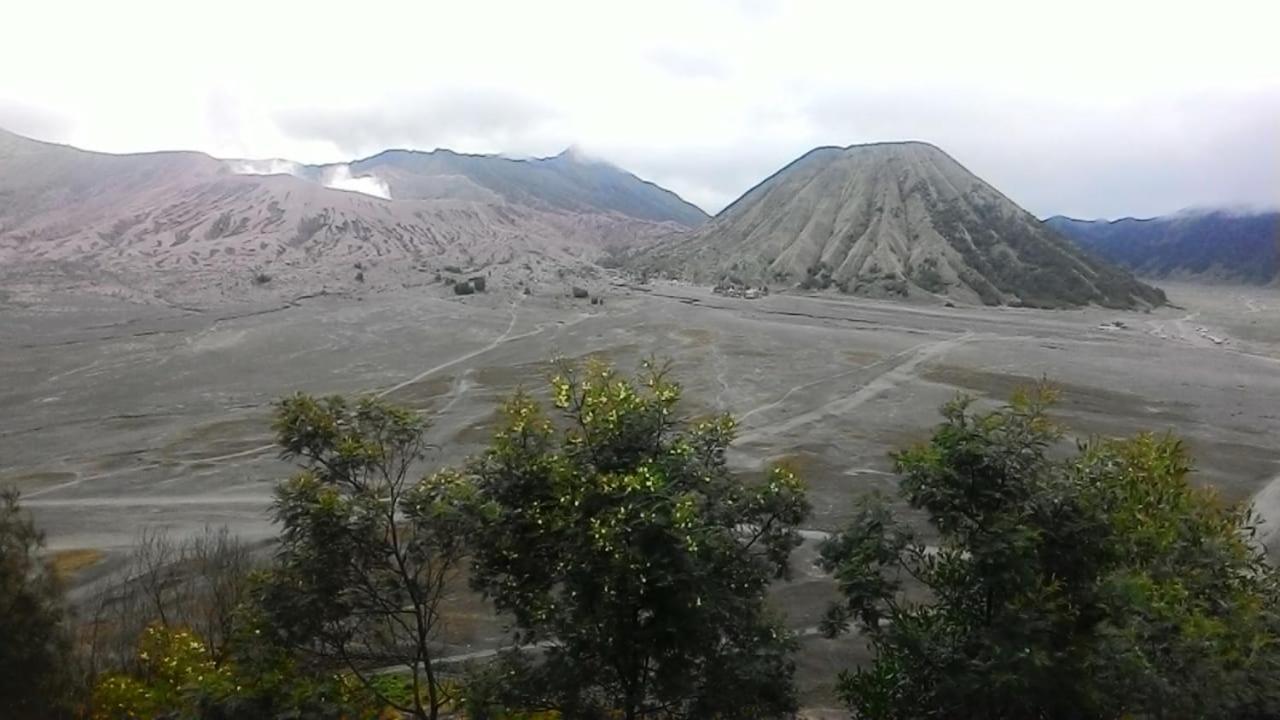 Mentigen Homestay Ngadisari Bagian luar foto